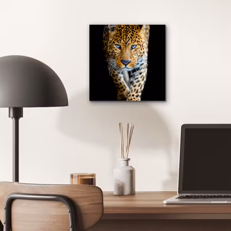 Luipaard - Dieren - Portret - Wilde dieren - Zwart aluminium wit klein -sfeer5