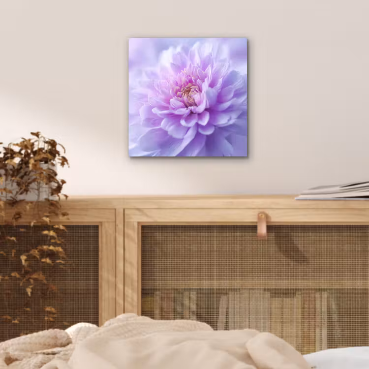 Paars - Dahlia - Dromerig aluminium wit klein -sfeer3