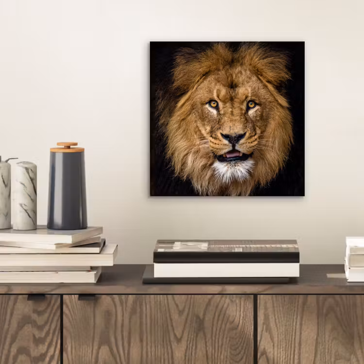 Leeuw - Portret - Zwart - Dieren aluminium wit klein -sfeer1