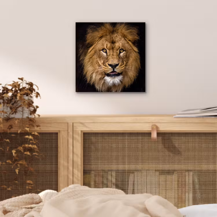Leeuw - Portret - Zwart - Dieren aluminium wit klein -sfeer3