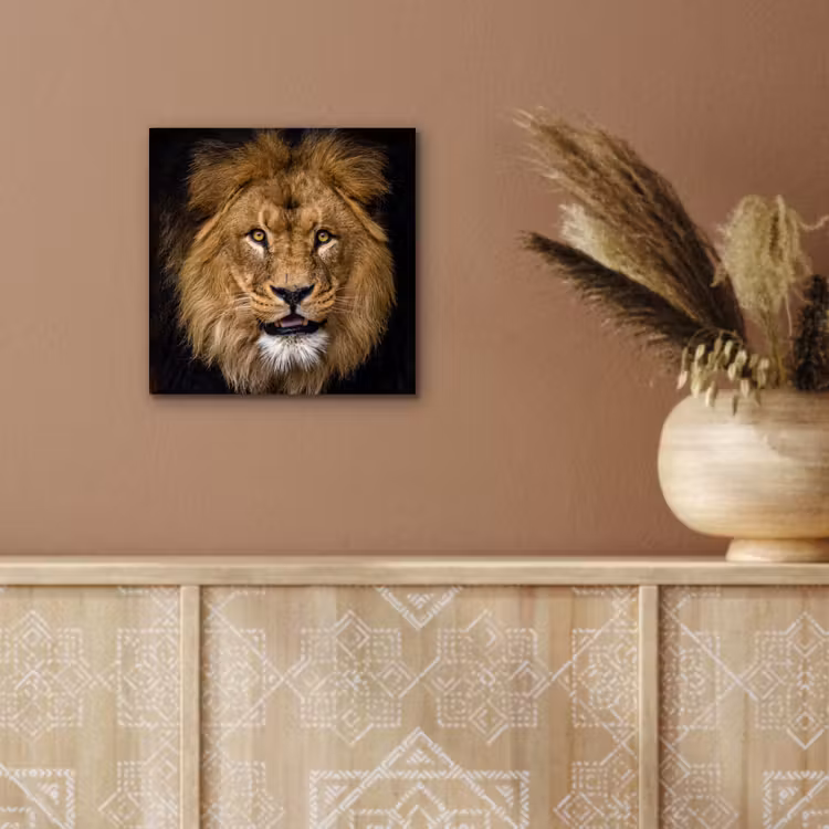 Leeuw - Portret - Zwart - Dieren aluminium wit klein -sfeer4