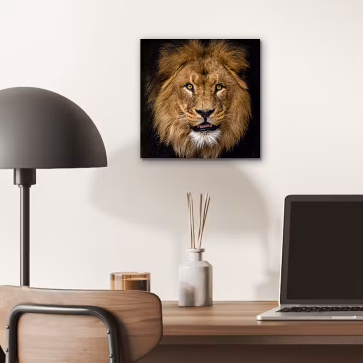 Leeuw - Portret - Zwart - Dieren aluminium wit klein -sfeer5
