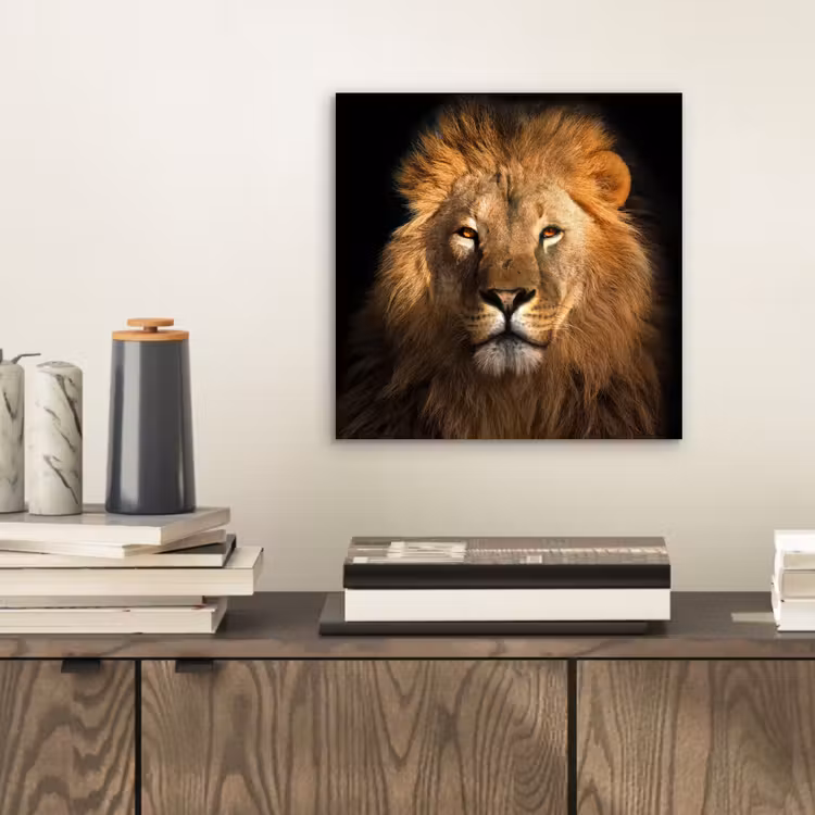 Leeuw - Dieren - Zwart - Licht - Bruin - Portret aluminium wit klein -sfeer1