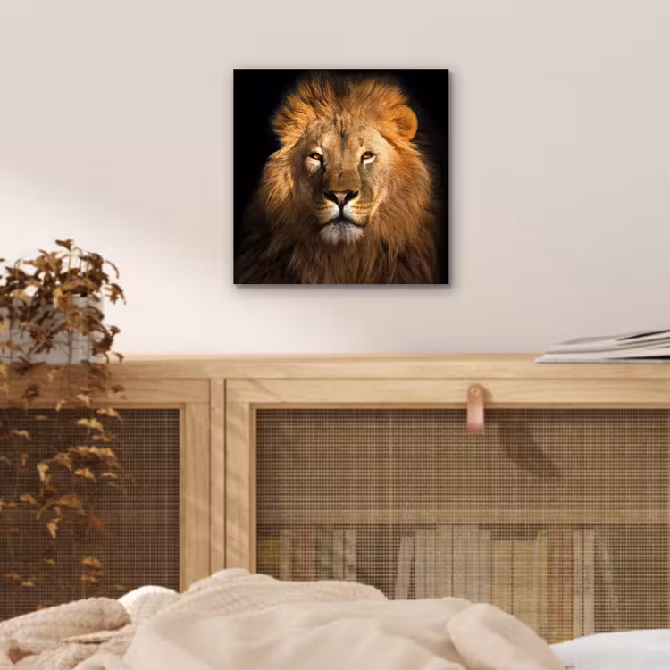 Leeuw - Dieren - Zwart - Licht - Bruin - Portret aluminium wit klein -sfeer3
