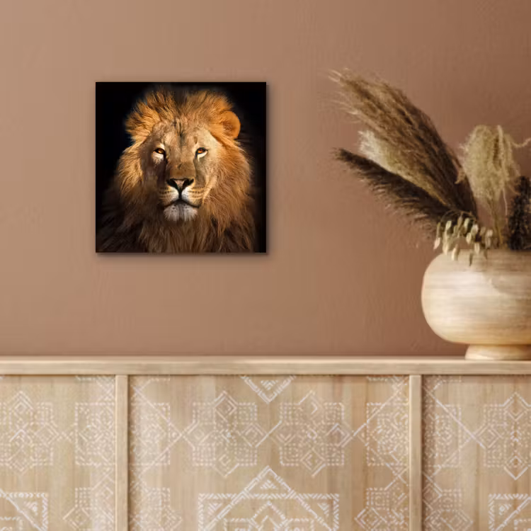 Leeuw - Dieren - Zwart - Licht - Bruin - Portret aluminium wit klein -sfeer4