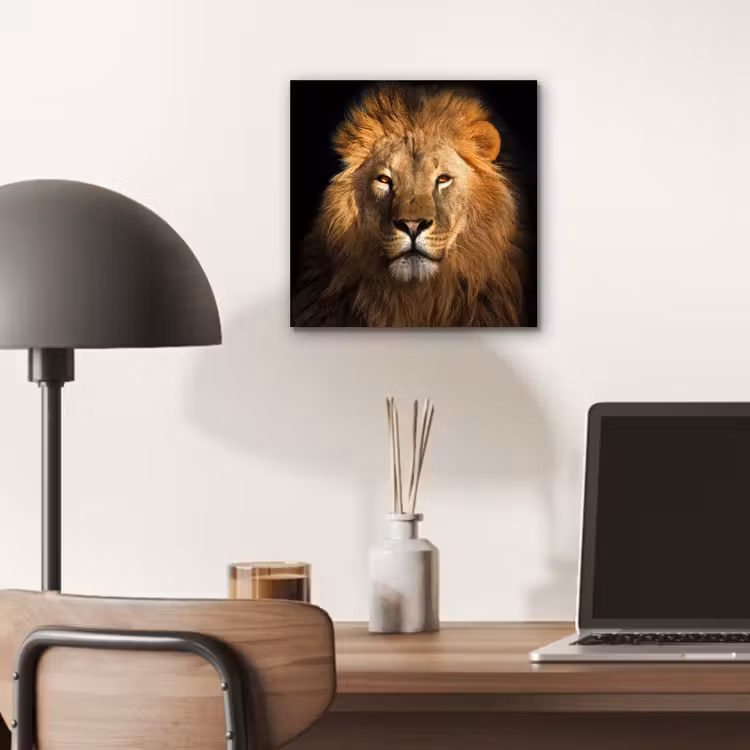 Leeuw - Dieren - Zwart - Licht - Bruin - Portret aluminium wit klein -sfeer5