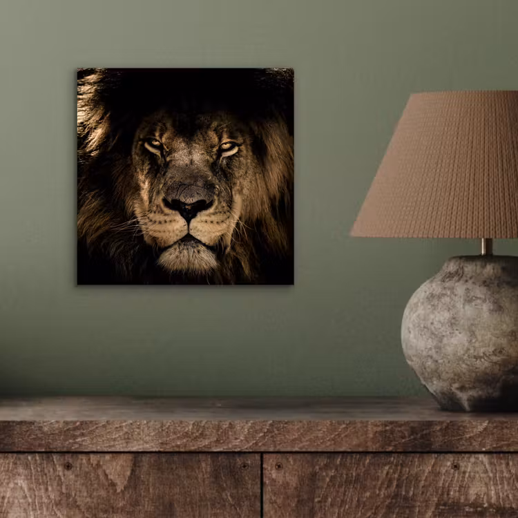 Leeuw - Dieren - Zwart - Portret aluminium wit klein -sfeer2