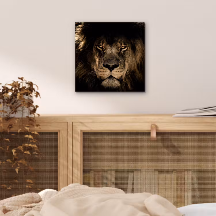 Leeuw - Dieren - Zwart - Portret aluminium wit klein -sfeer3