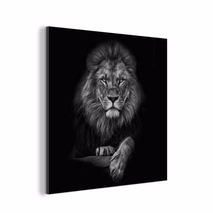 Leeuw - Dieren - Zwart - Wit aluminium wit klein -3d
