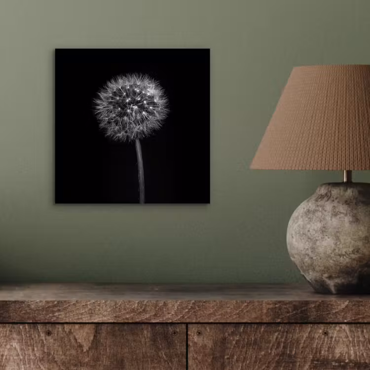 Paardenbloem - Zwart - Bloemen - Botanisch aluminium wit klein -sfeer2
