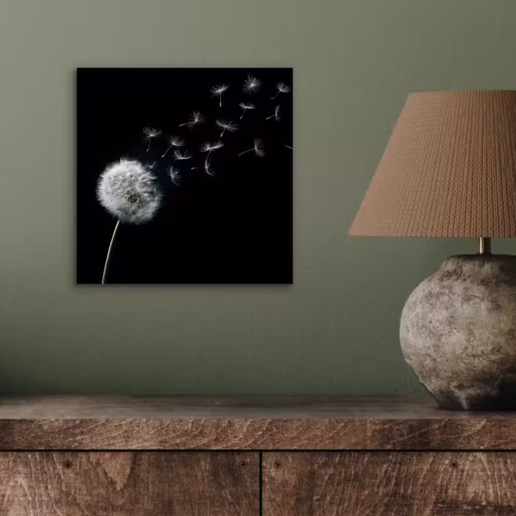 Paardenbloem - Zwart - Natuur aluminium wit klein -sfeer2
