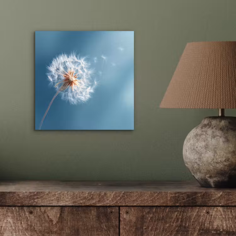 Paardenbloem - Wind - Blauw aluminium wit klein -sfeer2