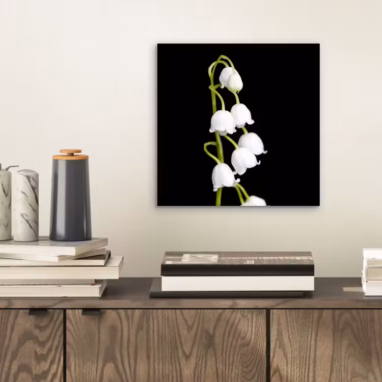 Lelietjes van dalen - Bloemen - Zwart - Flora aluminium wit klein -sfeer1
