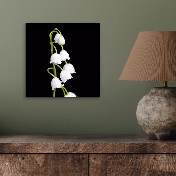 Lelietjes van dalen - Bloemen - Zwart - Flora aluminium wit klein -sfeer2