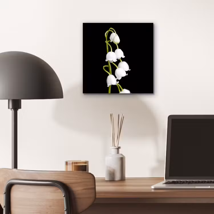 Lelietjes van dalen - Bloemen - Zwart - Flora aluminium wit klein -sfeer5