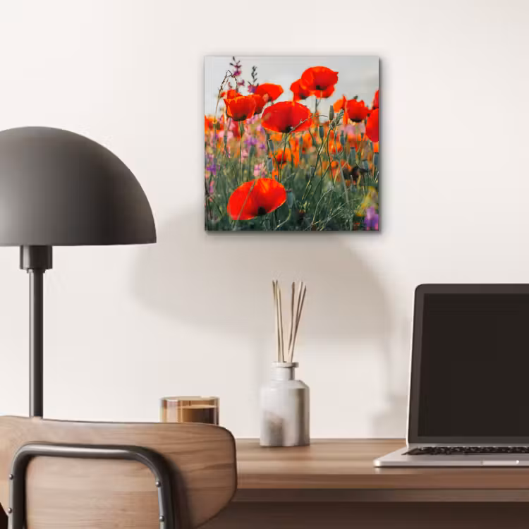 Klaproos - Bloemen - Rood - Paars - Weide aluminium wit klein -sfeer5