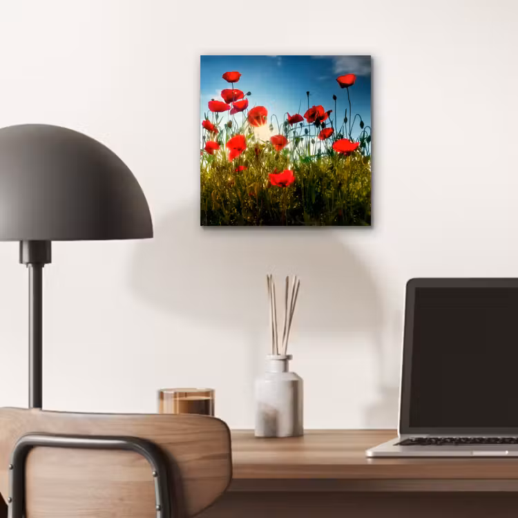 Klaprozen - Toscane - Zon - Rood - Blauw aluminium wit klein -sfeer5