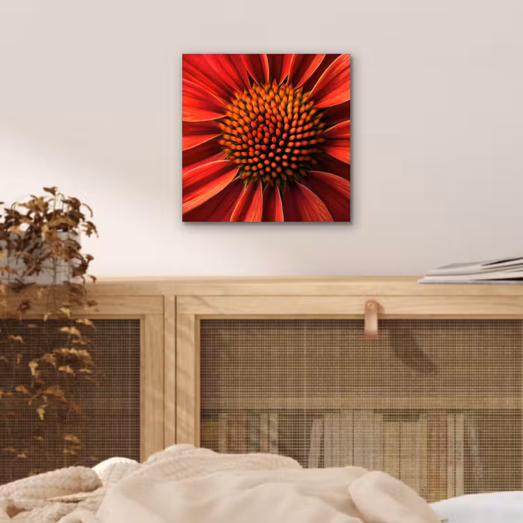 Close up - Bloem- Rood aluminium wit klein -sfeer3