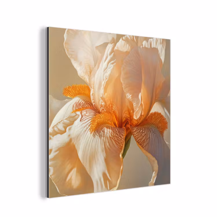 Close up - Oranje - Iris aluminium wit klein -3d