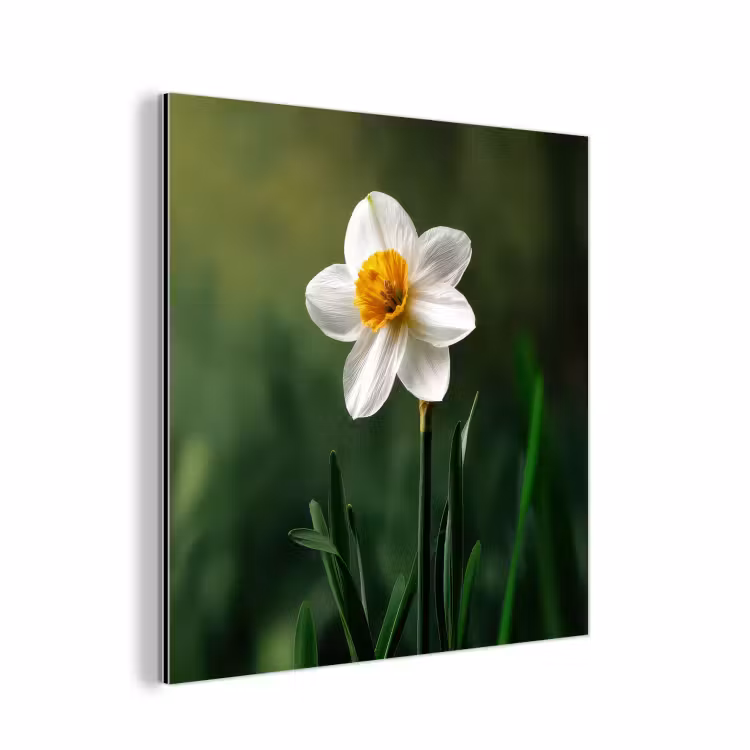Narcis - Bloem - Wit - Grassprieten aluminium wit klein -3d