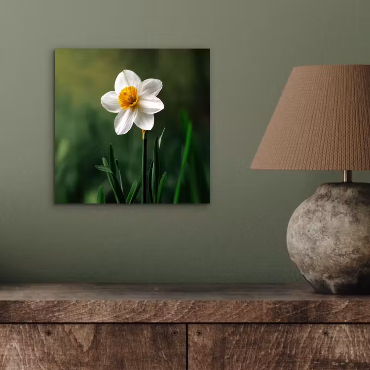 Narcis - Bloem - Wit - Grassprieten aluminium wit klein -sfeer2