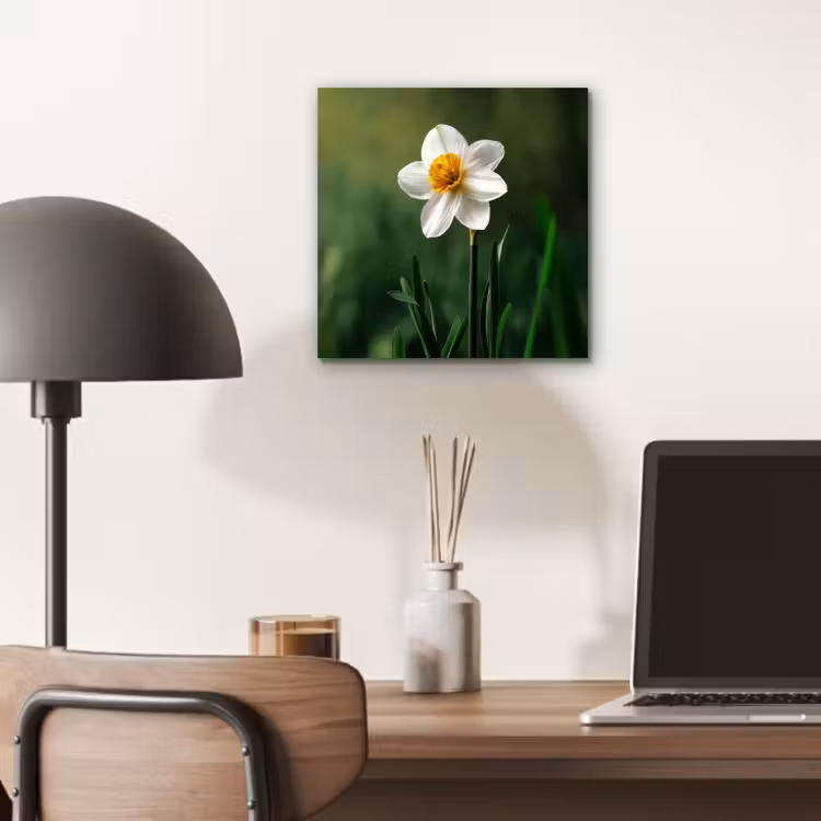 Narcis - Bloem - Wit - Grassprieten aluminium wit klein -sfeer5