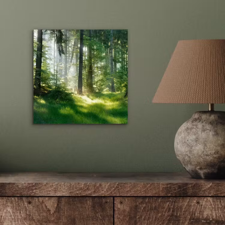 Natuur - Bomen - Bos - Groen - Zon - Gras - Planten aluminium wit klein -sfeer2