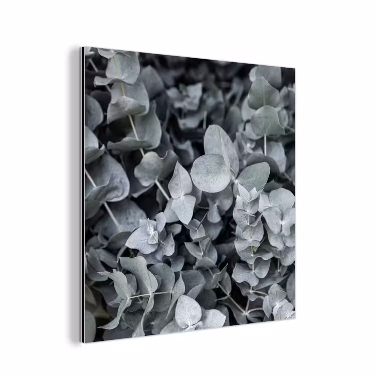 Natuur - Planten - Eucalyptus - Bladeren aluminium wit klein -3d
