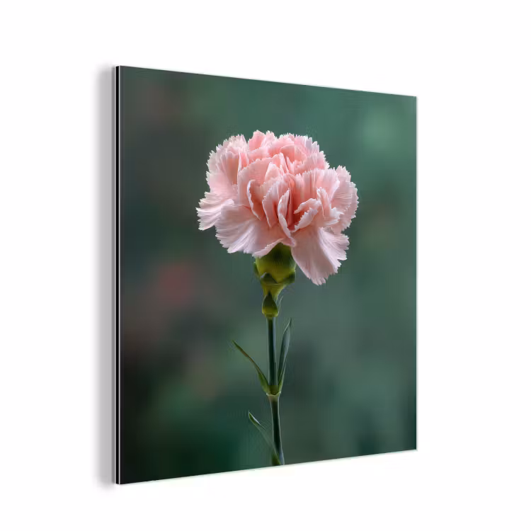 Anjer - Roze - Bloemblaadjes aluminium wit klein -3d