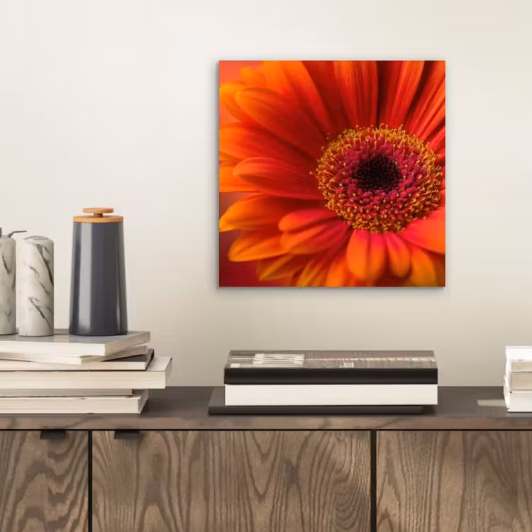 Oranje - Gerbera - Intens aluminium wit klein -sfeer1
