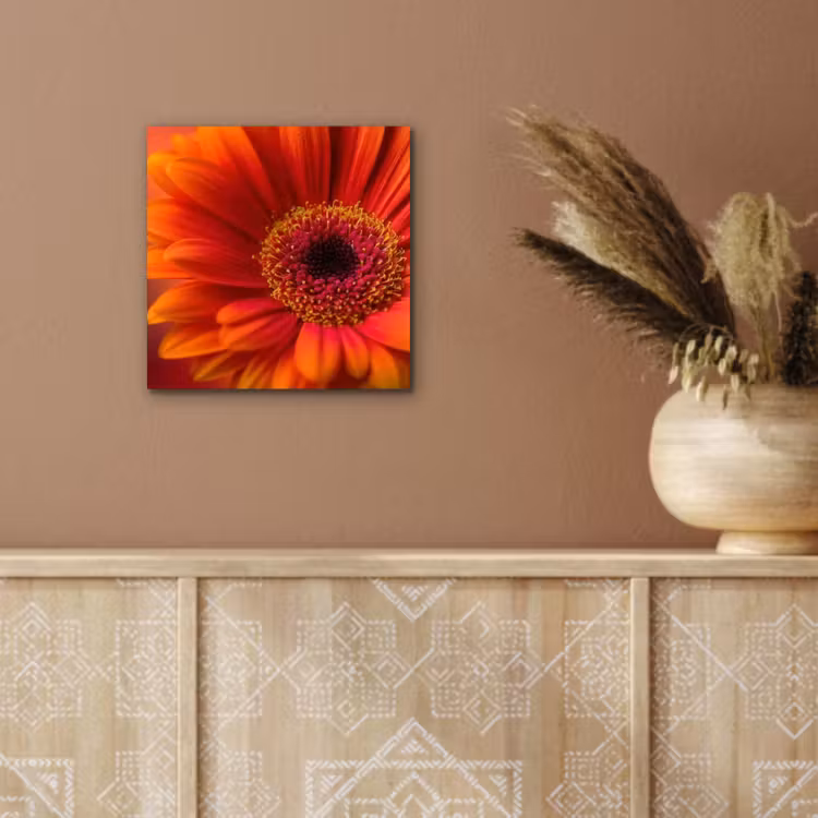 Oranje - Gerbera - Intens aluminium wit klein -sfeer4