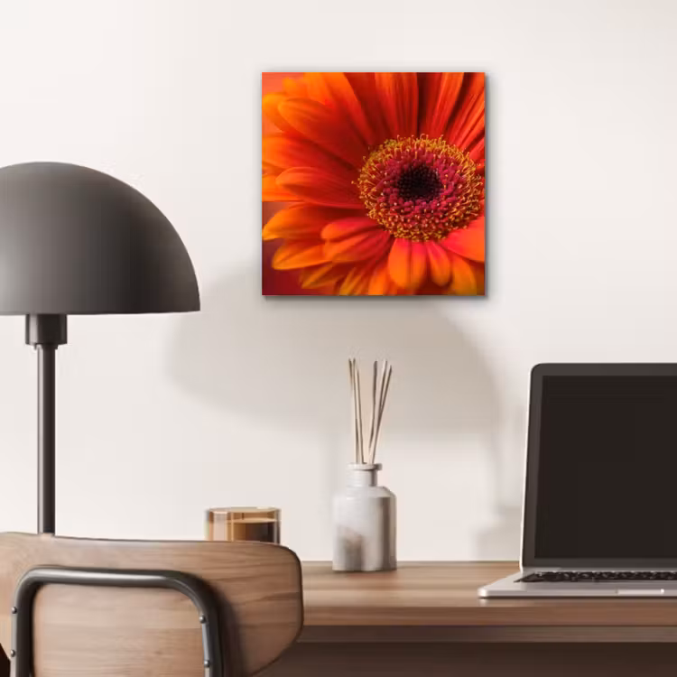 Oranje - Gerbera - Intens aluminium wit klein -sfeer5