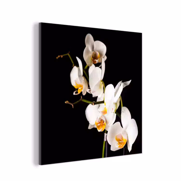 Orchidee - Bloemen - Planten - Botanisch aluminium wit klein -3d
