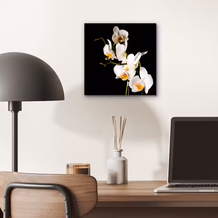 Orchidee - Bloemen - Planten - Botanisch aluminium wit klein -sfeer5
