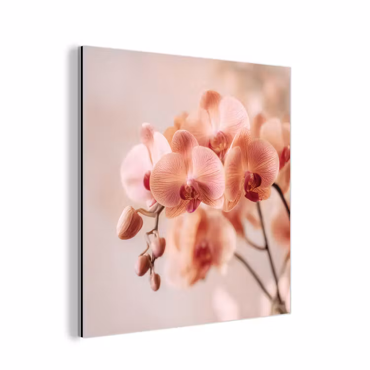 Orchidee - Bloemen - Roze - Bloemblaadjes aluminium wit klein -3d