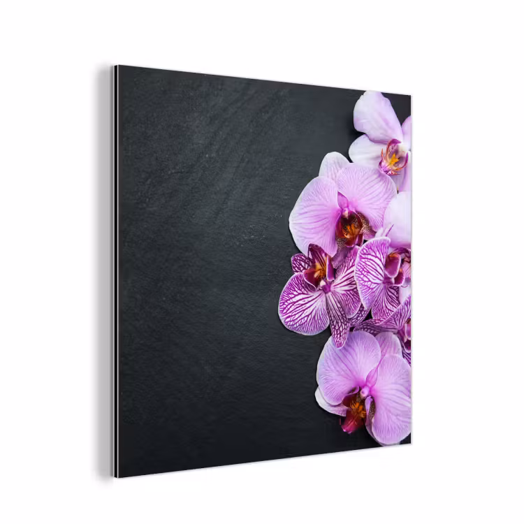 Orchidee - Bloemen - Roze - Flora aluminium wit klein -3d