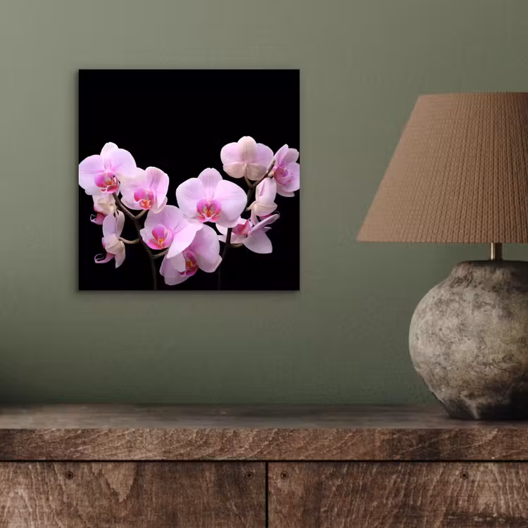 Orchidee - Bloemen - Roze - Flora aluminium wit klein -sfeer2
