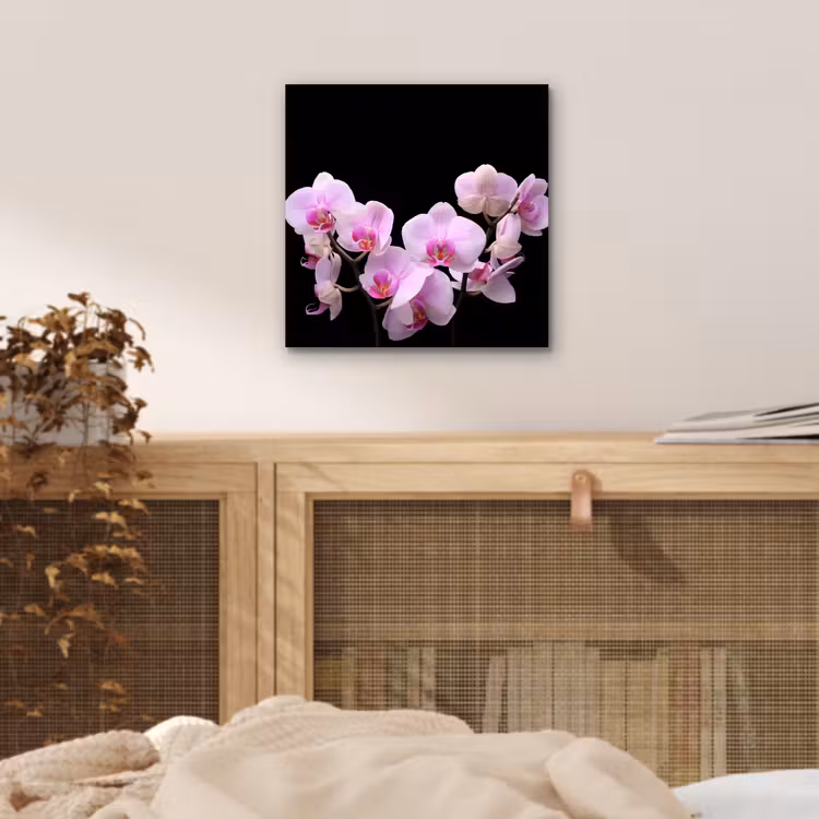 Orchidee - Bloemen - Roze - Flora aluminium wit klein -sfeer3