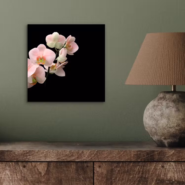 Orchidee - Bloemen - Roze - Stilleven - Flora aluminium wit klein -sfeer2
