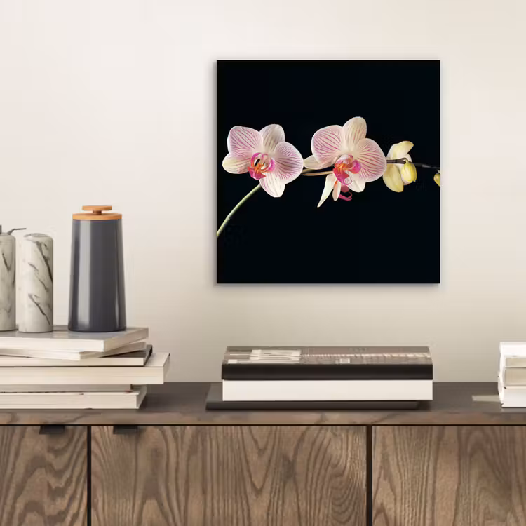 Orchidee - Bloemen - Zwart - Roze - Knoppen aluminium wit klein -sfeer1