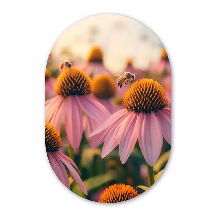 Bloemen - Paars - Bijen Wandcirkel Ovaal Aluminium middel -3d
