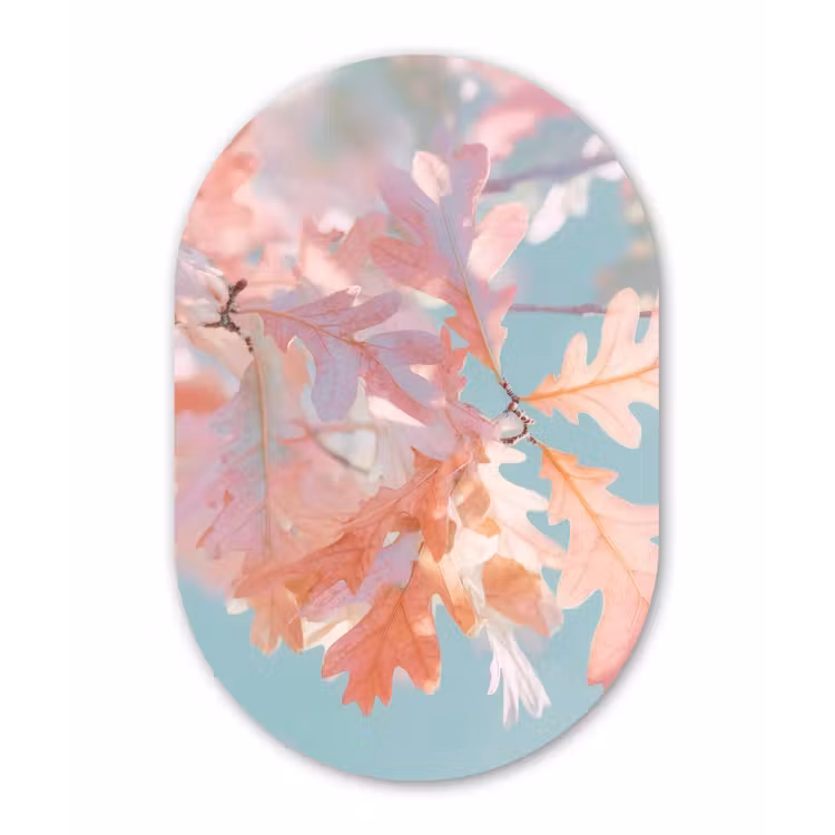 Eikenbladeren - Takken - Roze Wandcirkel Ovaal Aluminium middel -3d