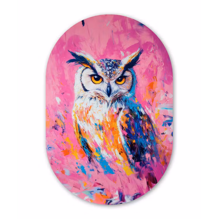 Uil - Roze - Blauw - Verf - Abstract Wandcirkel Ovaal Aluminium middel -3d