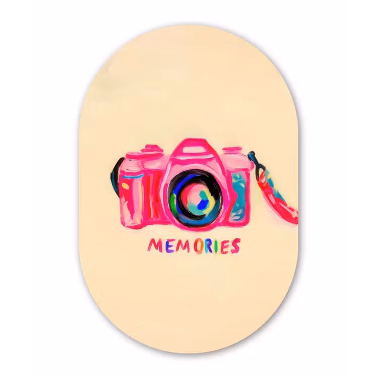 Camera - Memories - Roze - Geschilderd Wandcirkel Ovaal Aluminium middel -3d