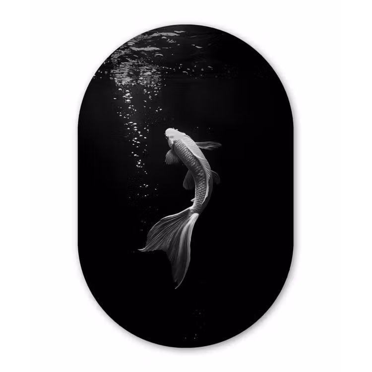 Koi - Vis - Wit - Zwart Wandcirkel Ovaal Aluminium middel -3d