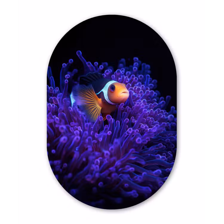 Koraal - Vis - Oranje - Zee Wandcirkel Ovaal Aluminium middel -3d