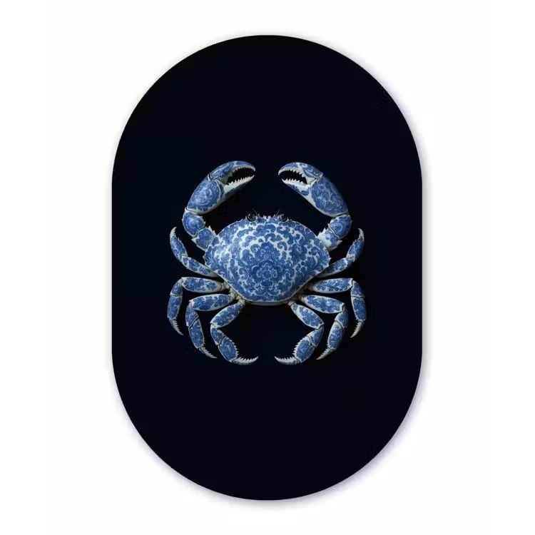 Krab - Delfts blauw - Dieren Wandcirkel Ovaal Aluminium middel -3d