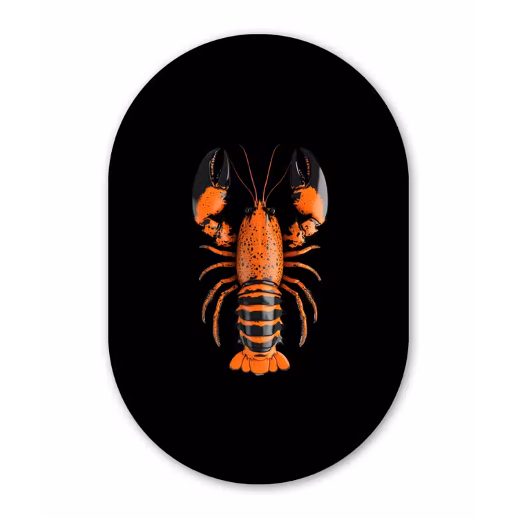 Kreeft - Oranje - Zwart - Modern Wandcirkel Ovaal Aluminium middel -3d
