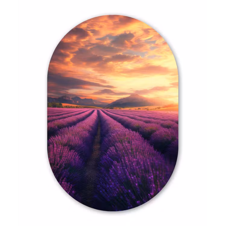 Lavendelveld - Zonsondergang - Paars Wandcirkel Ovaal Aluminium middel -3d