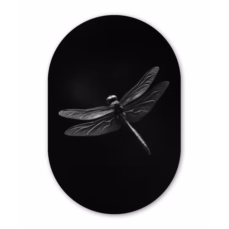 Libelle - Dieren - Zwart - Insect Wandcirkel Ovaal Aluminium middel -3d